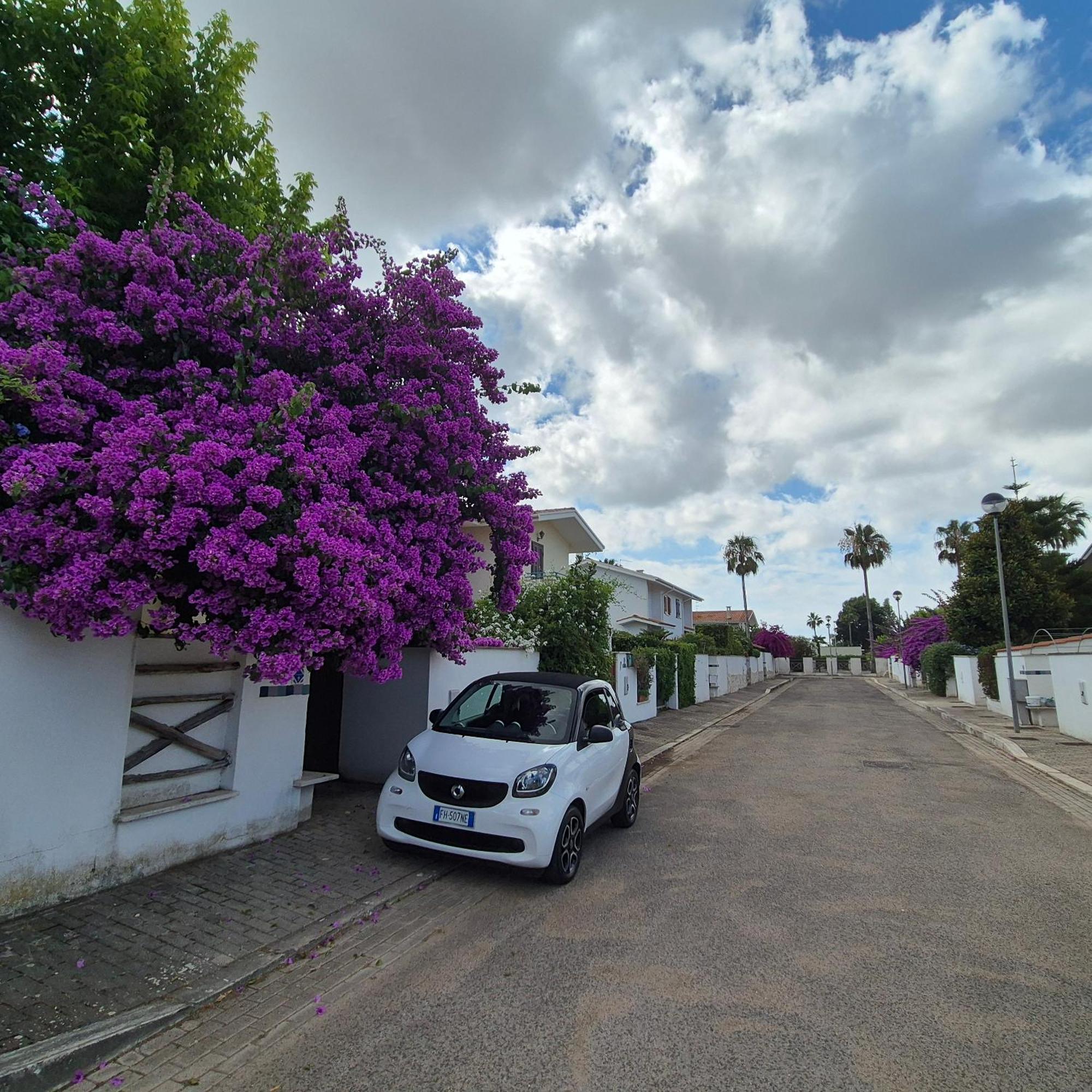 Villa Sabaudia Cameră foto